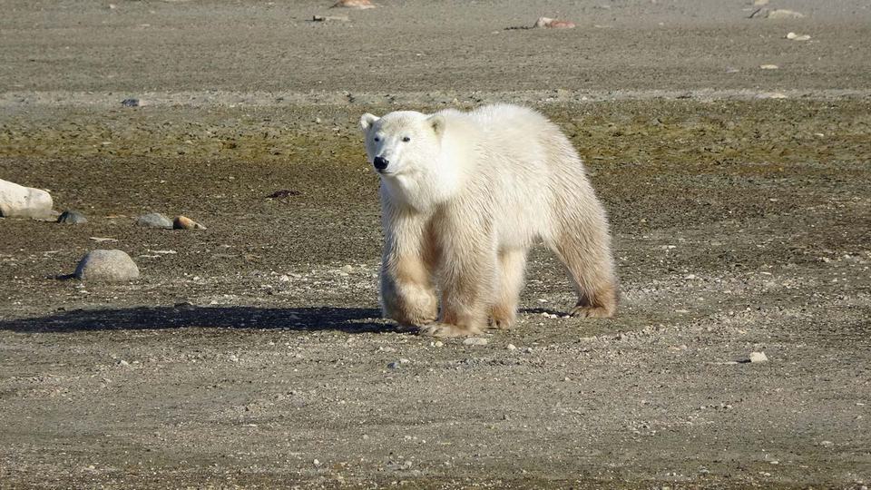 Churchill Manitoba Oct 2023 36